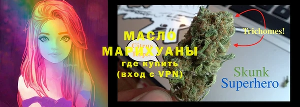прущие грибы Белокуриха