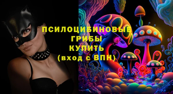 прущие грибы Белокуриха