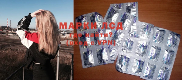 прущие грибы Белокуриха