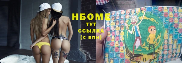 прущие грибы Белокуриха