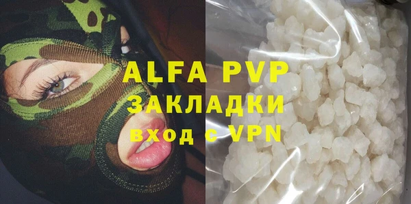 прущие грибы Белокуриха